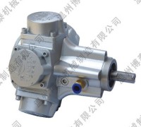 TMH075 Piston Tpye Air Motor 